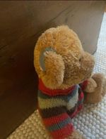 Teddy Bear Hearing Aids 3d Printed Toy Accessories Help Children Understand