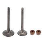 Inlet & Exhaust Valves Seals Kit For Yamaha YBR 125 ED / SPD Custom 2005-2016