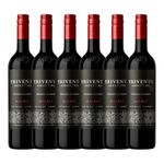 Trivento Private Reserve Malbec Red Wine Case 6 x 75cl Full-Bodied