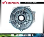 HONDA Genuine OEM 97-24 TRX250 REAR BRAKE PANEL 43010-HM8-000