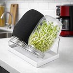 2-Pack Sprouting Jar Set 1000ml Seed Sprouting Jar Kit Glass Jars with Mesh Lids