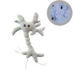 Giant Microbes Brain Cell (Neuron), Educational Toy, Psychology Gift