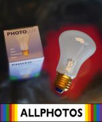 Photolux - Super Leuci Modelling Lamp - For Elinchrom - Light Bulb - 196V - 100W