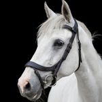 Eco Rider Freedom Comfort Bridle -Game-Changing Design for Perfect Fit & Comfort