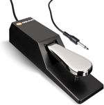 M-Audio SP-2 - Universal Sustain Pedal with Piano Style Action, The Ideal Acces