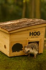 Wooden Hedgehog House Home Garden Animal Shelter