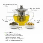 Glass Teapot Steel Infuser & Lid Heat Resistant Borosilicate Loose Tea 1200ml