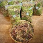 Live Welsh Sphagnum Moss