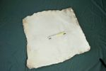 real parchment goat parchment rawhide bookbinding