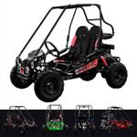 163cc 2 Seater Petrol Buggy 4 Stroke Powerful Go Kart UTV Buggy - OneUTV™ | PX5S