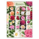 Roses Stamps Collectors Sheet from Royal Mail