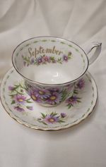 Royal Albert Flower of The Month September Michealmus Daisy Cup and Saucer Duo