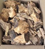 Natural Decayed Wood (Rot Wood) – Bioactive Substrate & Isopod Food - 6L