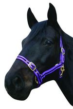 CLEARANCE!!!  Slightly Tarnished But Serviceable Cushion Web Head Collars