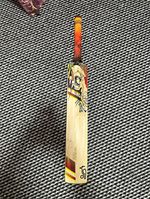 Youth Cricket Bat Size 5 Willow TG Sticker S Handle Cap Beige Red Black