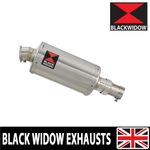 Royal Enfield Himalayan 411 Exhaust Silencer Kit Oval End Can 230SS