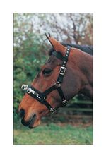 Hy Equestrian Lunge Cavesson Adjustable Lunging Training Aid Small & Large Black