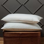 Die Zudecke Canadian White Snow Goose Feather And Down Surround Pillows