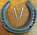 1 to 100 Real hind Horseshoe + Horse Shoe nails fix to door Wedding Craft Game