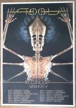 Tool - live band music show 2024 TOUR promotional tour concert gig poster