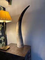 Vintage Longhorn Cattle Horn .  24" H approx. Collection BATH free , or post £20
