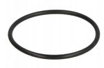 Buderus 7736700548 Gasket for Nefit Bosch Condens Logamax Plus