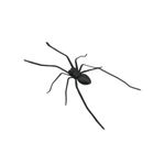 Realistic Spider Magnet for Refrigerator Strong Magnetic Hold Fun Decor