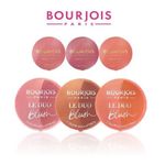 BOURJOIS LE DUO BLUSH / LITTLE ROUND POT BLUSH --Choose shade---