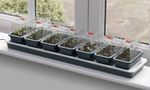 Garland Super 7 Electric Windowsill Propagator - 76 x 18 x 15cm - 13 Watts