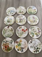 COMPLETE SET OF 12 THE COUNTRY DIARY OF AN EDWARDIAN LADY PLATES BY CAVERSWALL