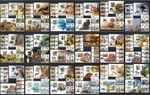 ANIMALS, transport, space Angola 2019 collection 36 sets + 36 s/s MNH #CNA443