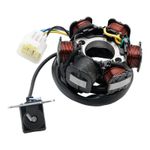 5-Wire Magneto Stator Generator For Kayo ATV Fox 70 Bull 125 Predator 150 Storm.