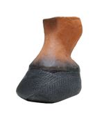 Equus Hoofcast - Temporary Horse Hoof Support