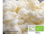 10g Certified Organic by OF&G Live Milk Kefir Grains Made in UK Lab tested in UK