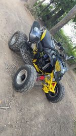 Predator Quad Bike