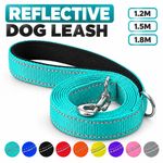 Strong Reflective Nylon Dog Lead with Soft Padded Handle Walking Leash 4ft  6ft