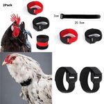 2 Pack No Crow Rooster Collar, Anti-HookNoise Free Neck Belt