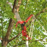 Portable Extendable Pole Saws Tree Pruners SK5 Steel Garden Branch Pruning Tool
