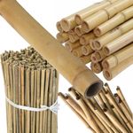 2FT 3FT 4FT 5FT 6FT 7FT Bamboo Garden Strong Thick Canes Plant Support Stick