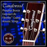 Tanglewood TWGS 12 Fibreflex Coated Strings Medium-Light 12-53