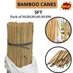 5FT Thick Bamboo Canes Heavy Duty Garden Plant Support Strong Thick Pole UK