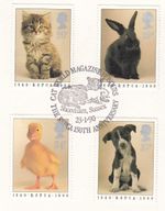 RSPCA GB Used Cat World Magazine Shoreham (b) 1990 ON PIECE (146582)