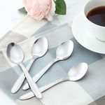 Stainless Steel Teaspoons 11 cm Everyday Tea Spoon Set Coffee Drink Kitchen Home