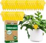 Super Ninja Fungus Gnat Killer - 30 Traps - Highly Effective and Ecological Yell