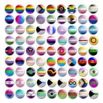 The Original LGBT/LGBTQIA+ 25mm/1 Inch Pride Flag Badges (81 To Choose From) Gay