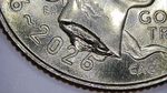 2026-P Emerging Liberty Dime Large Die Chip Error - Neck Area BU? From OBW Box