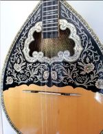 4 string greek bouzouki & hardcase & pickup & 300 backing track with pdf scores