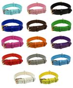 Vibrant Genuine Leather Dog Collar with Soft Neoprene Padding, Small, Large Pets