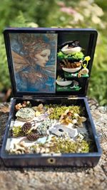 Handmade Fairy Mythical Creatures Miniature Diorama Scene  with Butterfly
