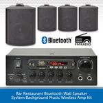 Bar Restaurant Bluetooth Wall Speaker System Background Music Wireless Amp Kit